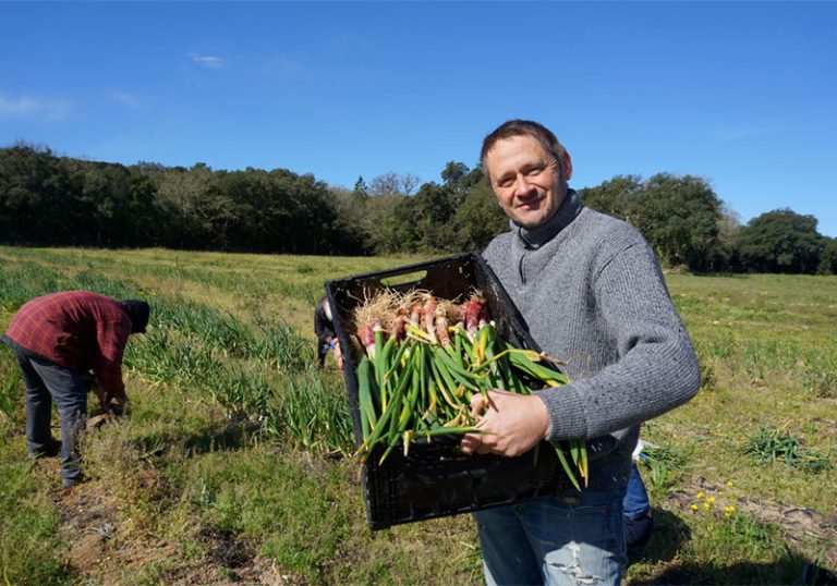 Lutte precarite alimentaire Accueil Lutte precarite alimentaire Accueil